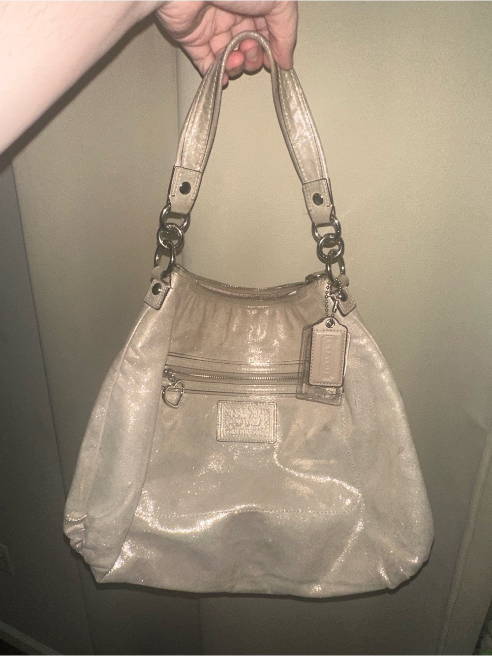VTG Coach Poppy Metallic Hobo Bag GUC small imperfections